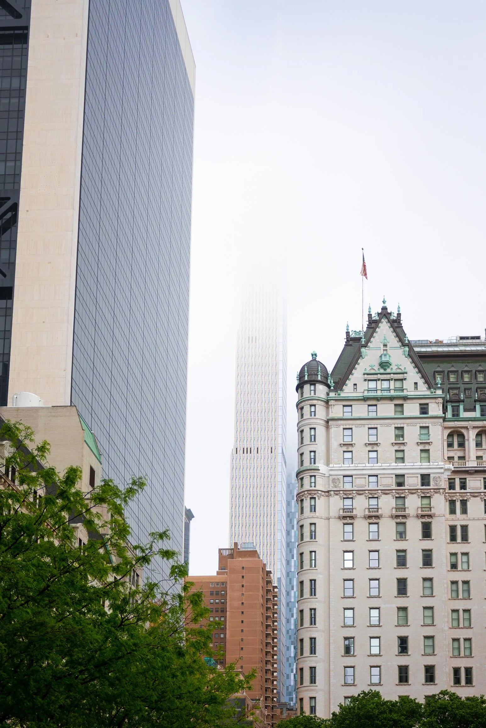 Foggy Mornings-06.jpg
