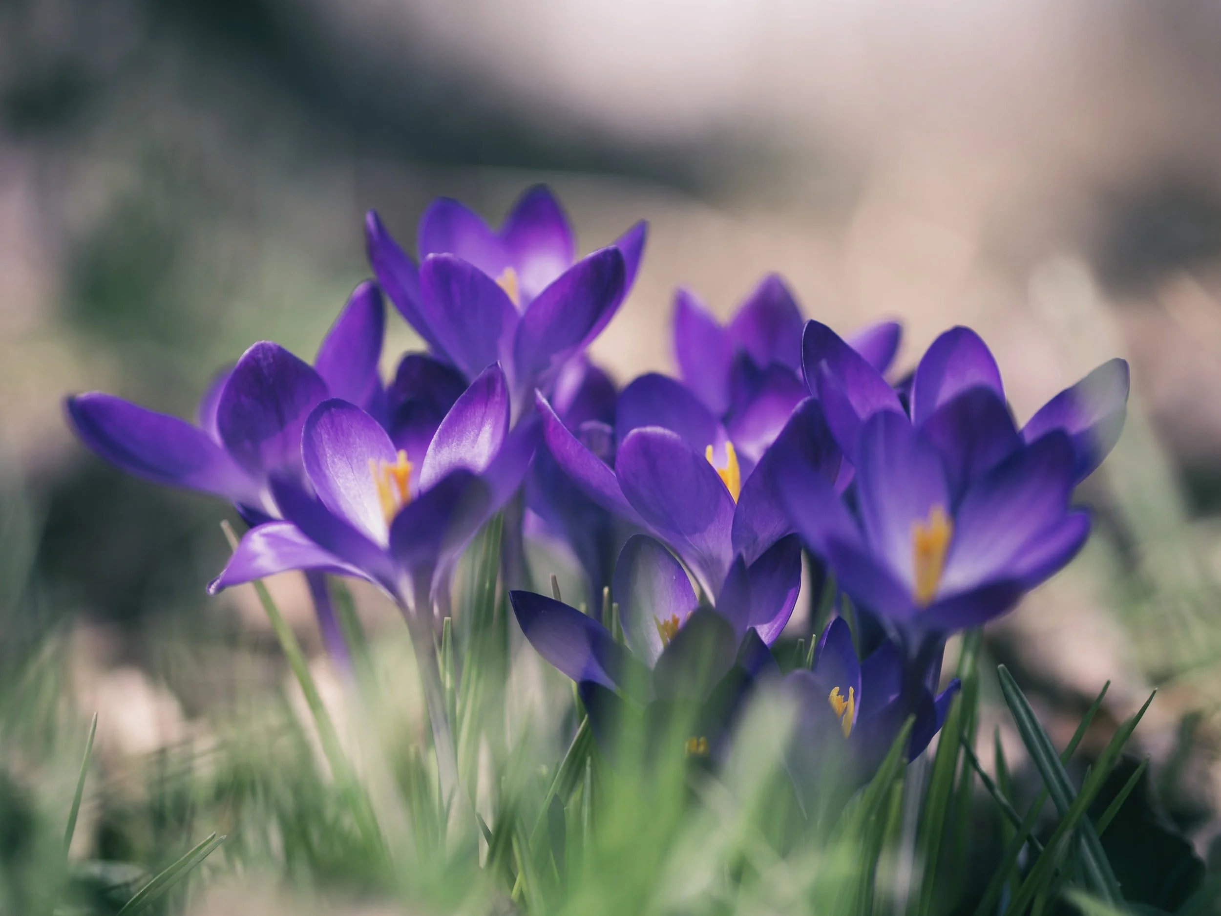 unsplash-image-wes5JqFptkQ.jpg