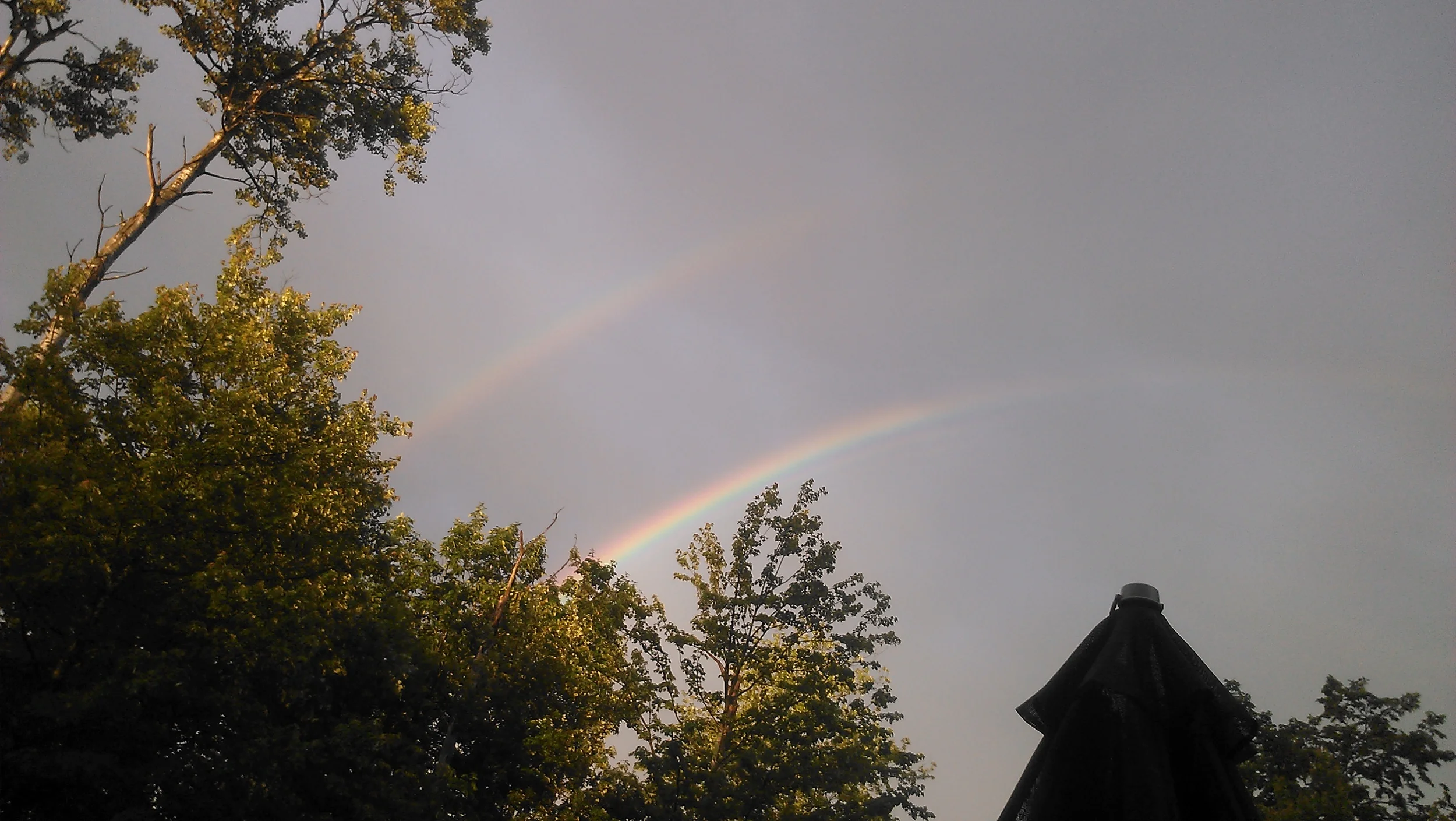 IMAG0458.jpg