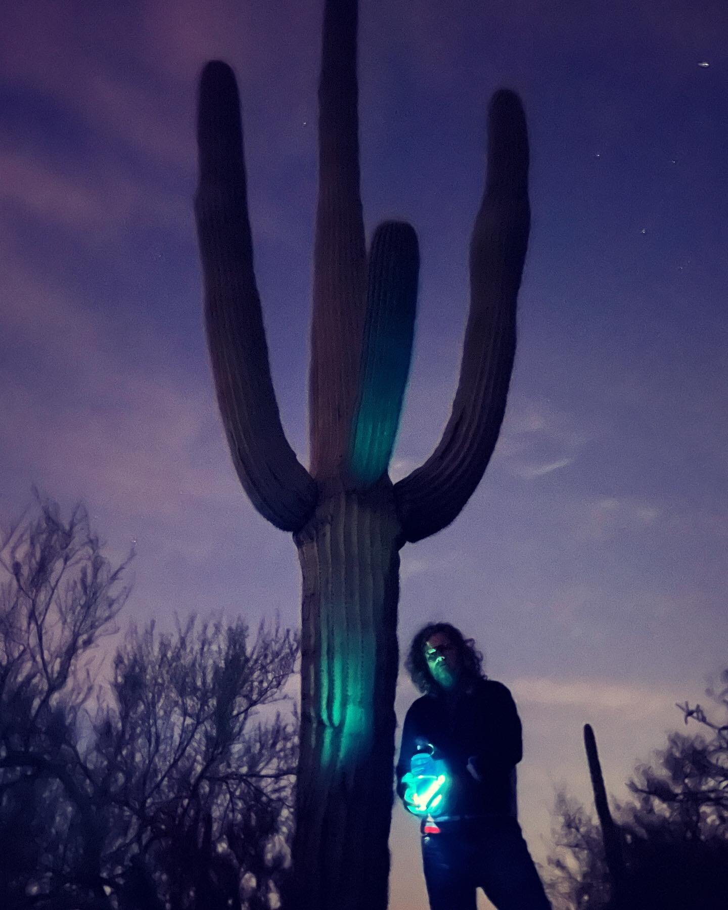 🌵🌌