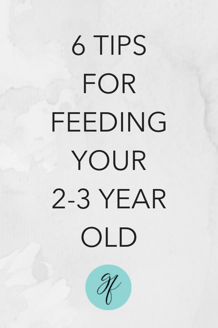 6 Tips for Feeding Your 2-3 year old.png