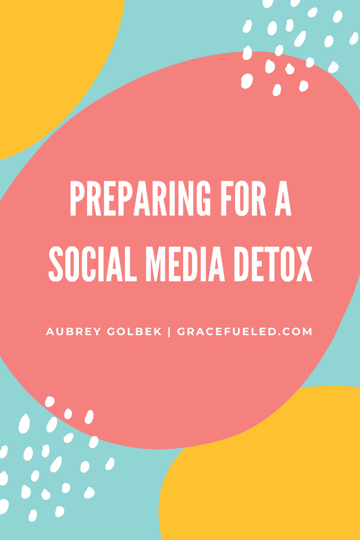 detox meaning social media