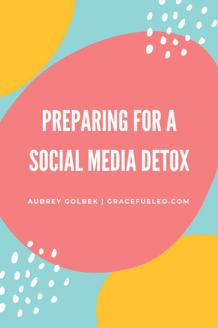 detox meaning social media)