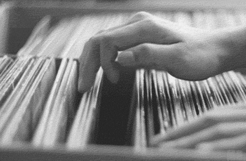 Crate Digging.gif