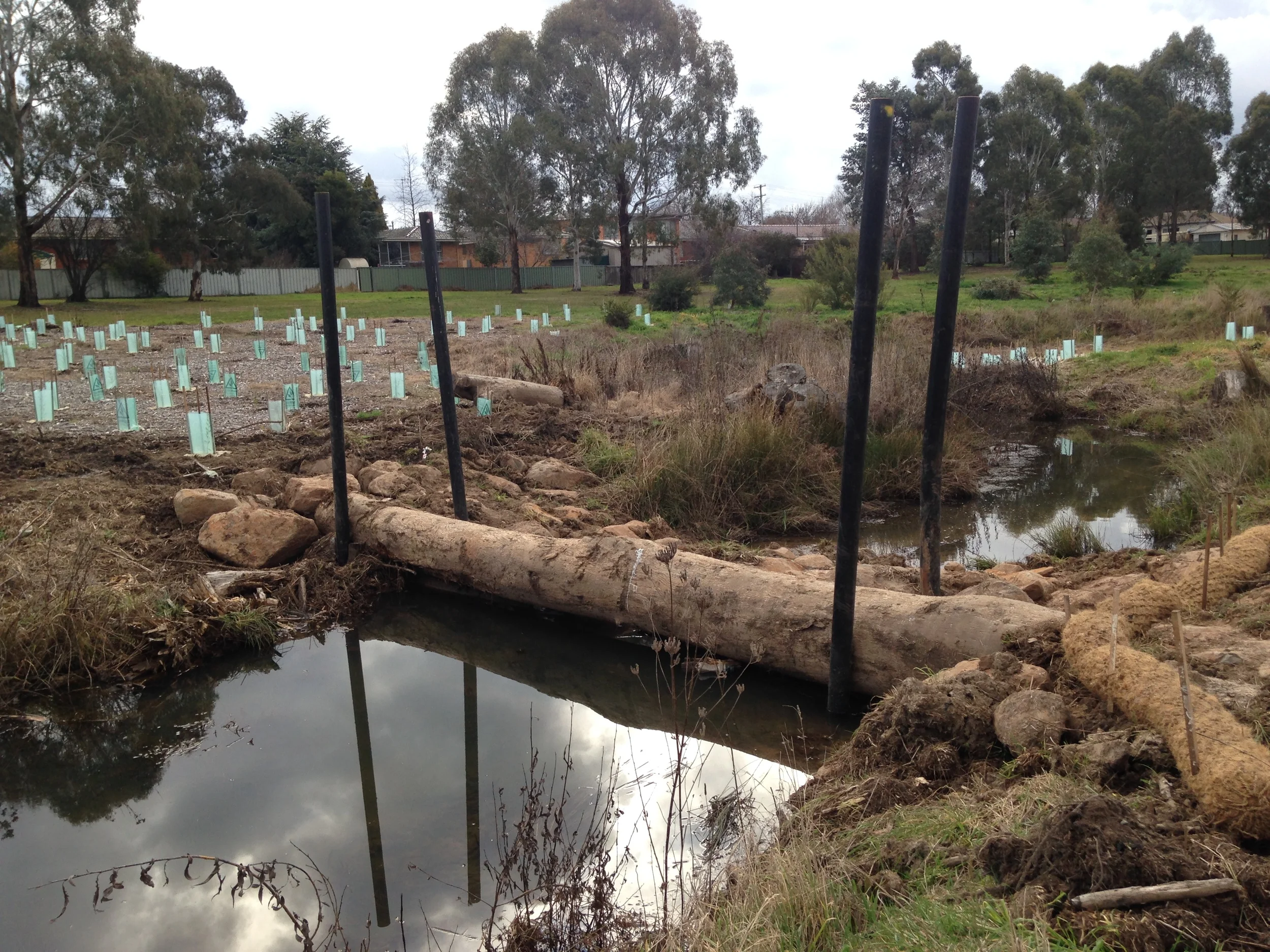 Rifle Range Creek.JPG