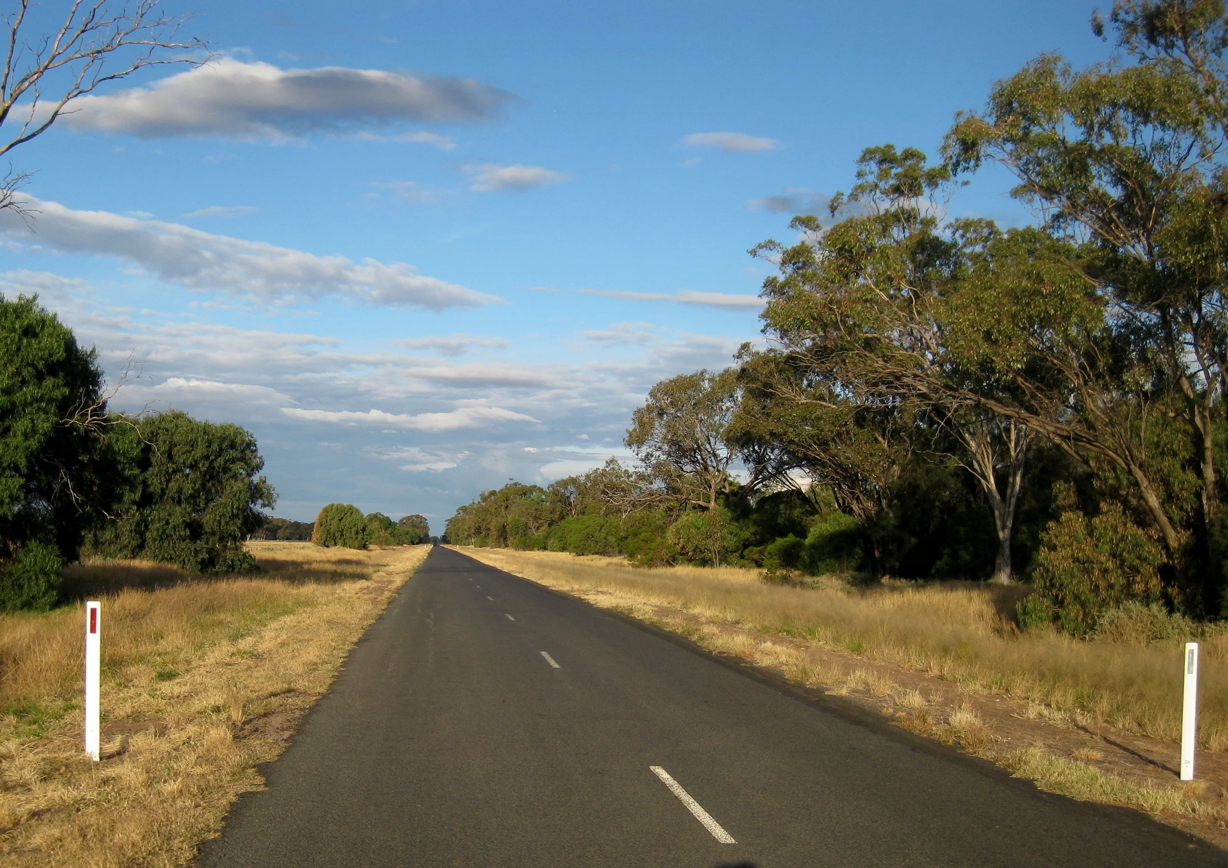 2012.04 Roadside Natve Veg_DKureen 43.JPG