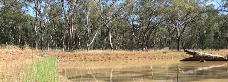 Apply for Funding: NRM for Local Government