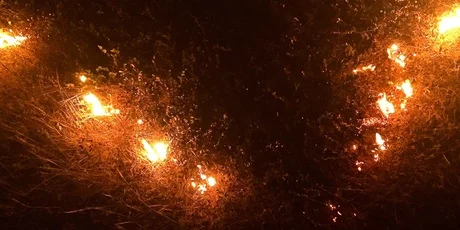 Prescribed Burn at Brooke Moore Reserve, Bathurst