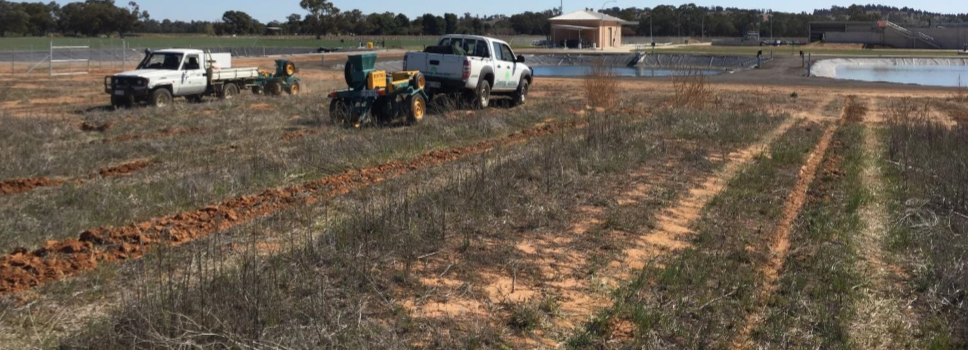 Our Projects: Direct Seeding for Habitat Connectivity