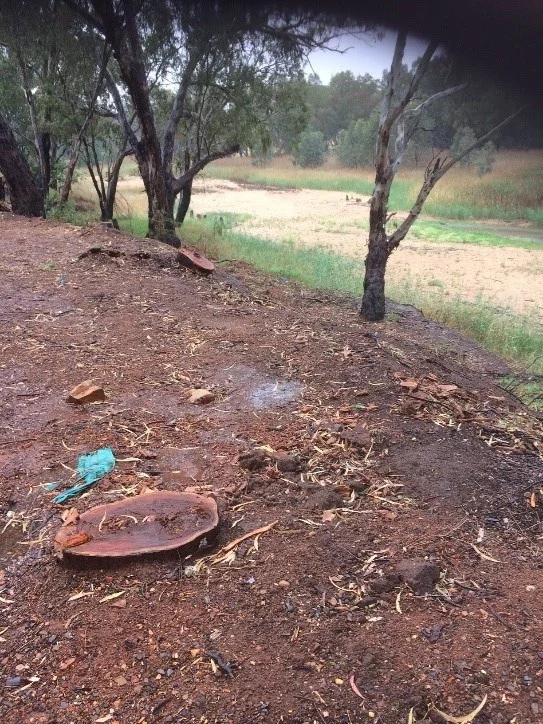 Woody weeds were removed with the stumps and roots systems retained to ensure riverbank stability
