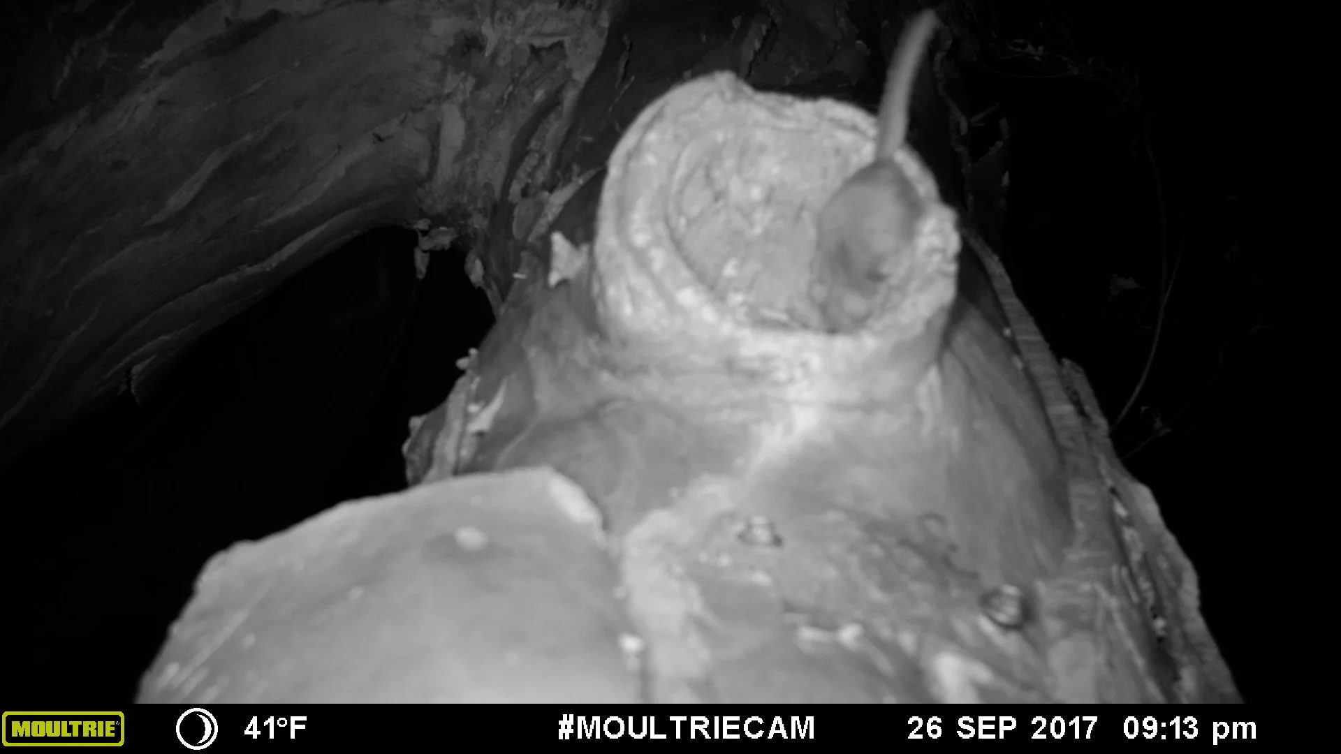 MFDC3285.JPG