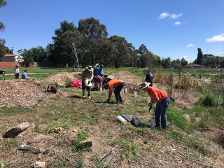 Rotary members planting at Nelson Park as part of Sustainable Living Weed 181118.png