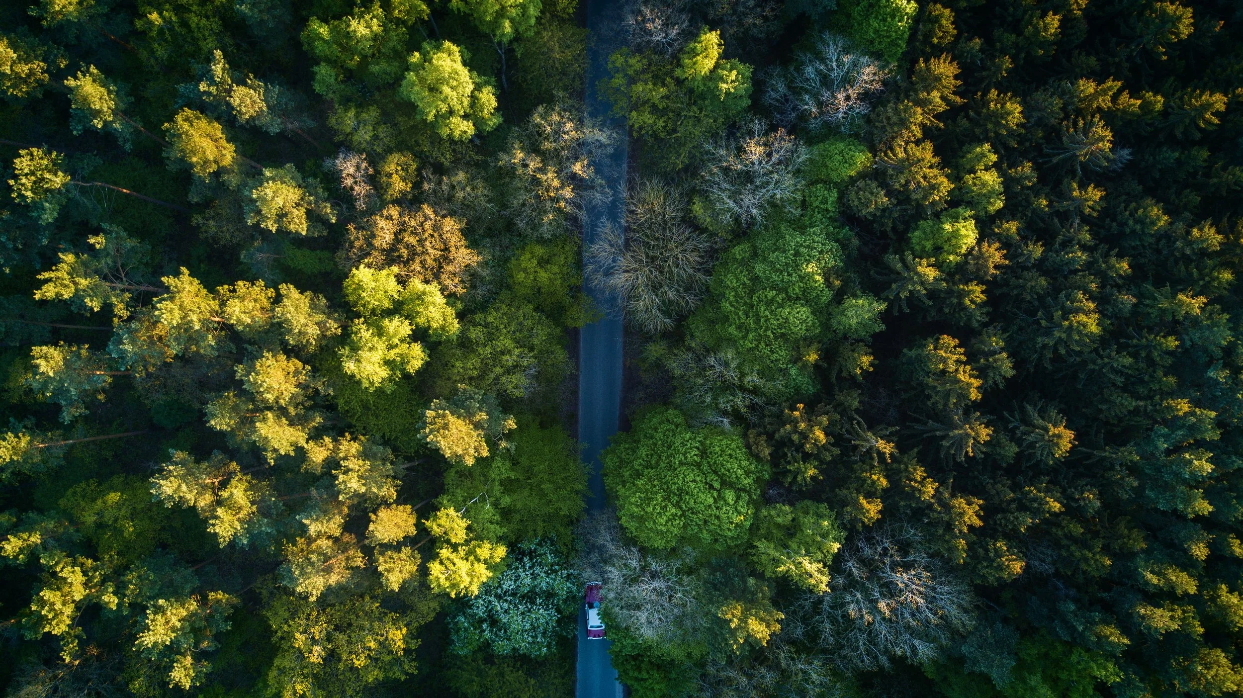 aerial-aerial-shot-aerial-view-753873.jpg