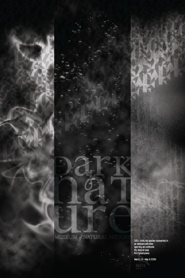 dark_07.jpg