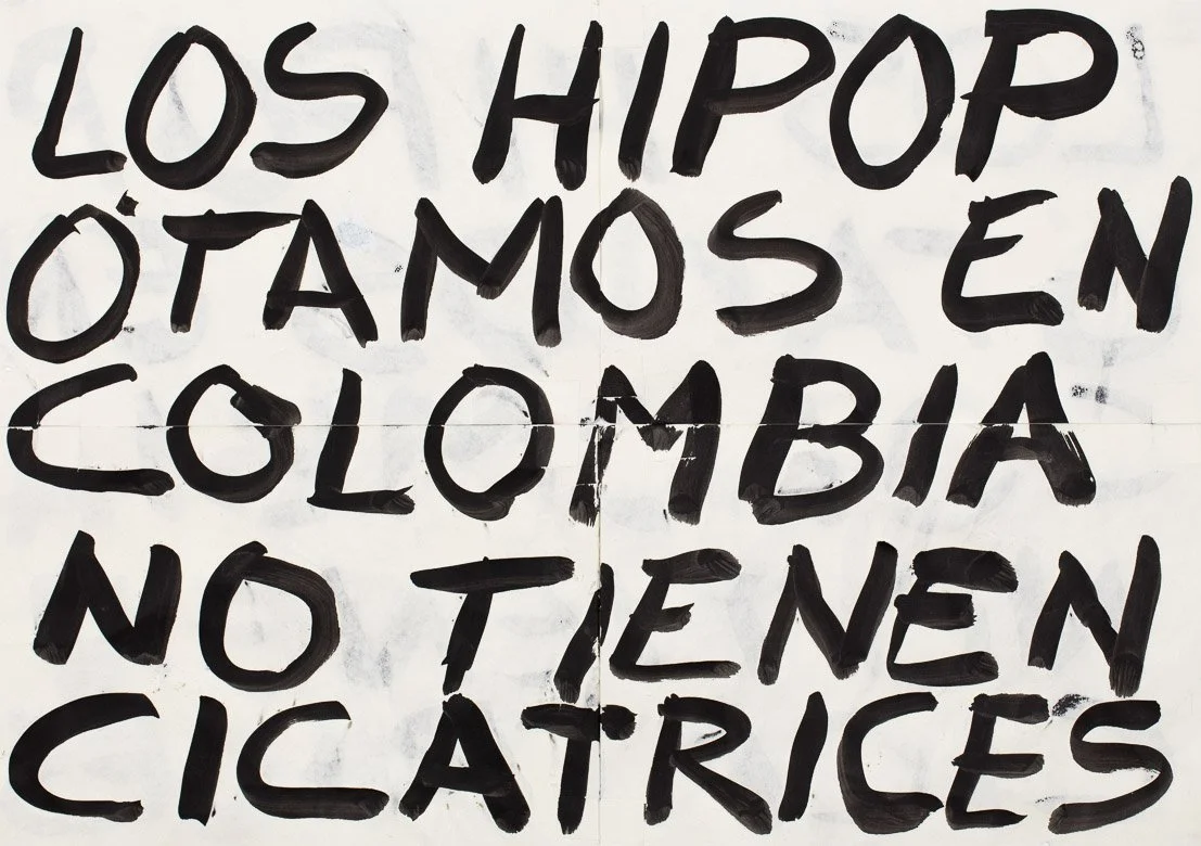  Los Hipopótamos en Colombia no tienen cicatrices 