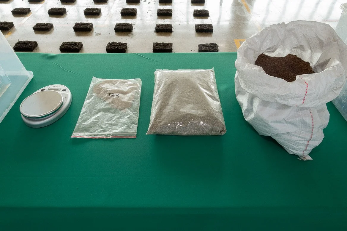 Hippopotamensis-9.jpg