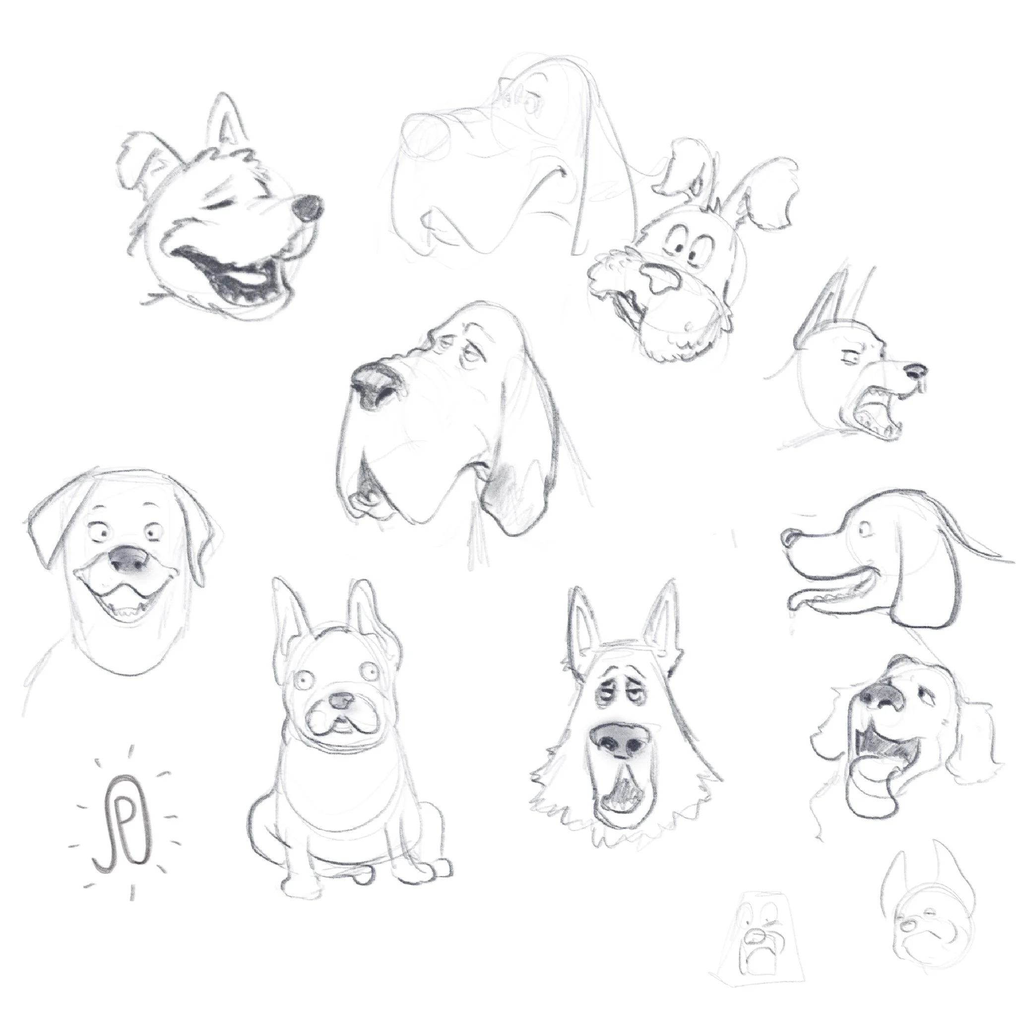Dog.jpg