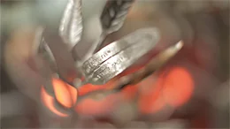 Forged From Fire - Leaves. Detail The Blacksmiths' Tree. Camera: Mike Wilkins (DoP)   