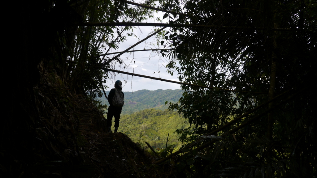 Upper Bengoh. Camera: Andrew Garton