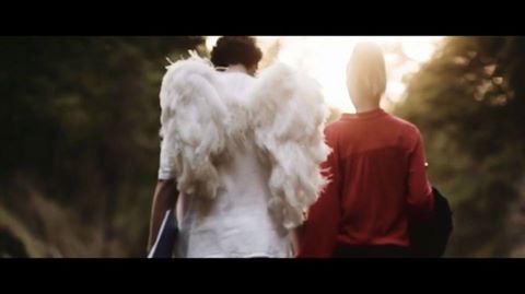 Walk the Earth