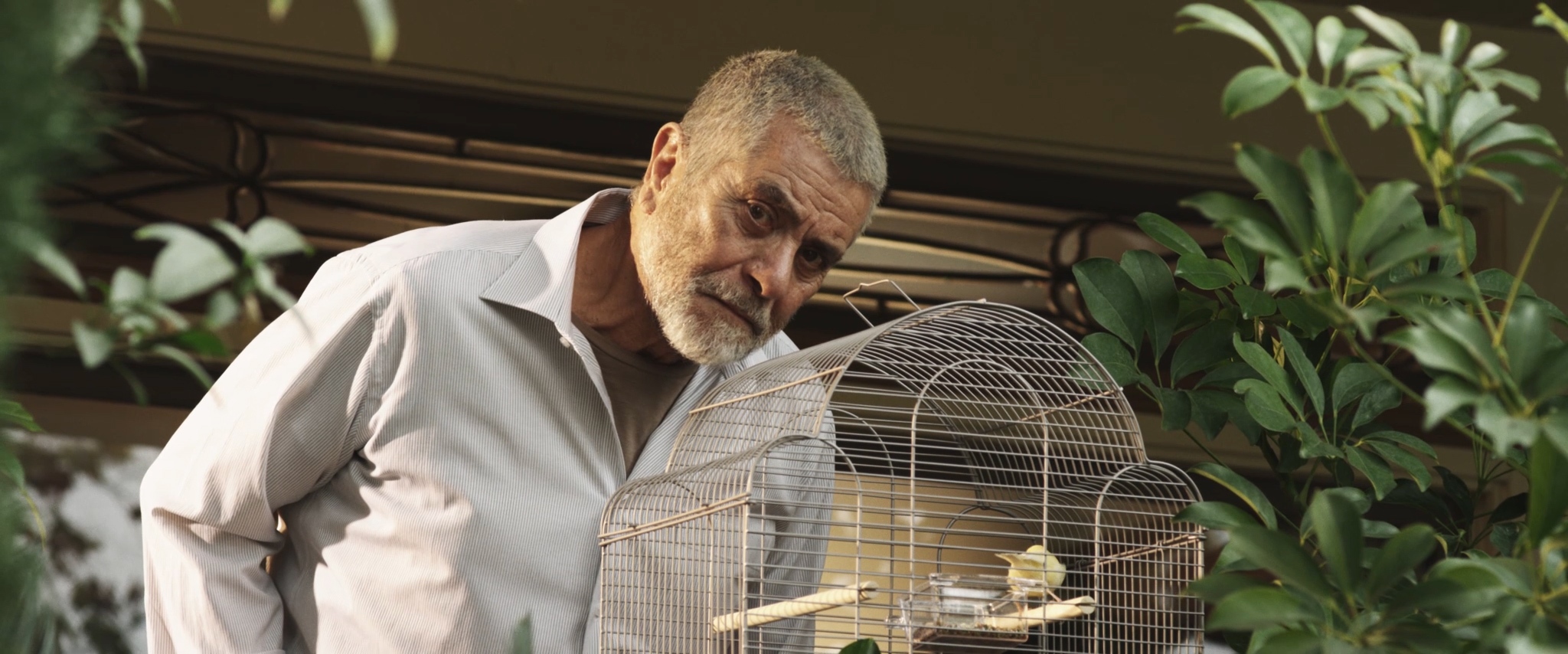 Farewell My Bird