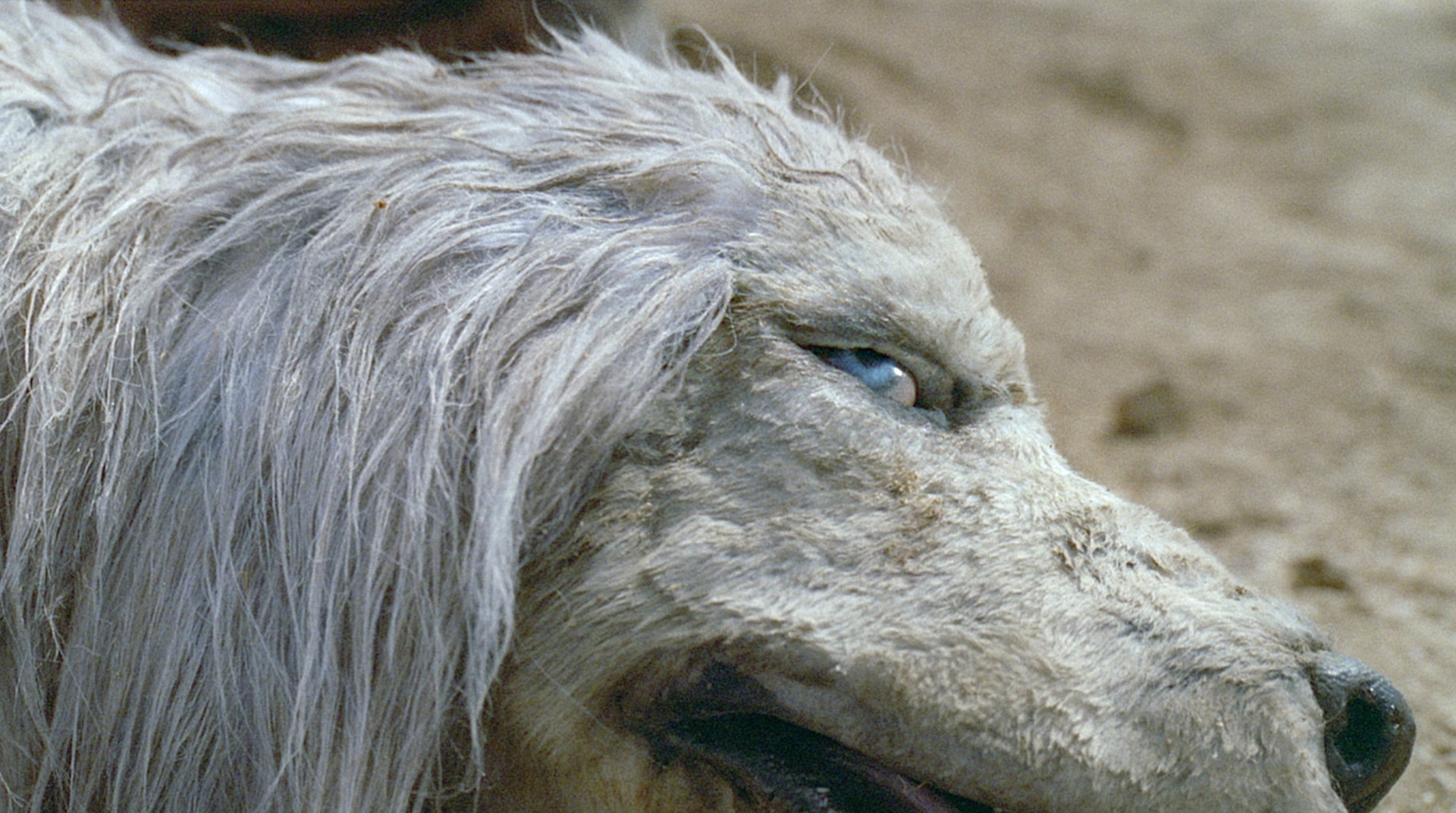 Actor Sam Elliott lent his vocal talents to the voice of the Dog in "LIMBO".
