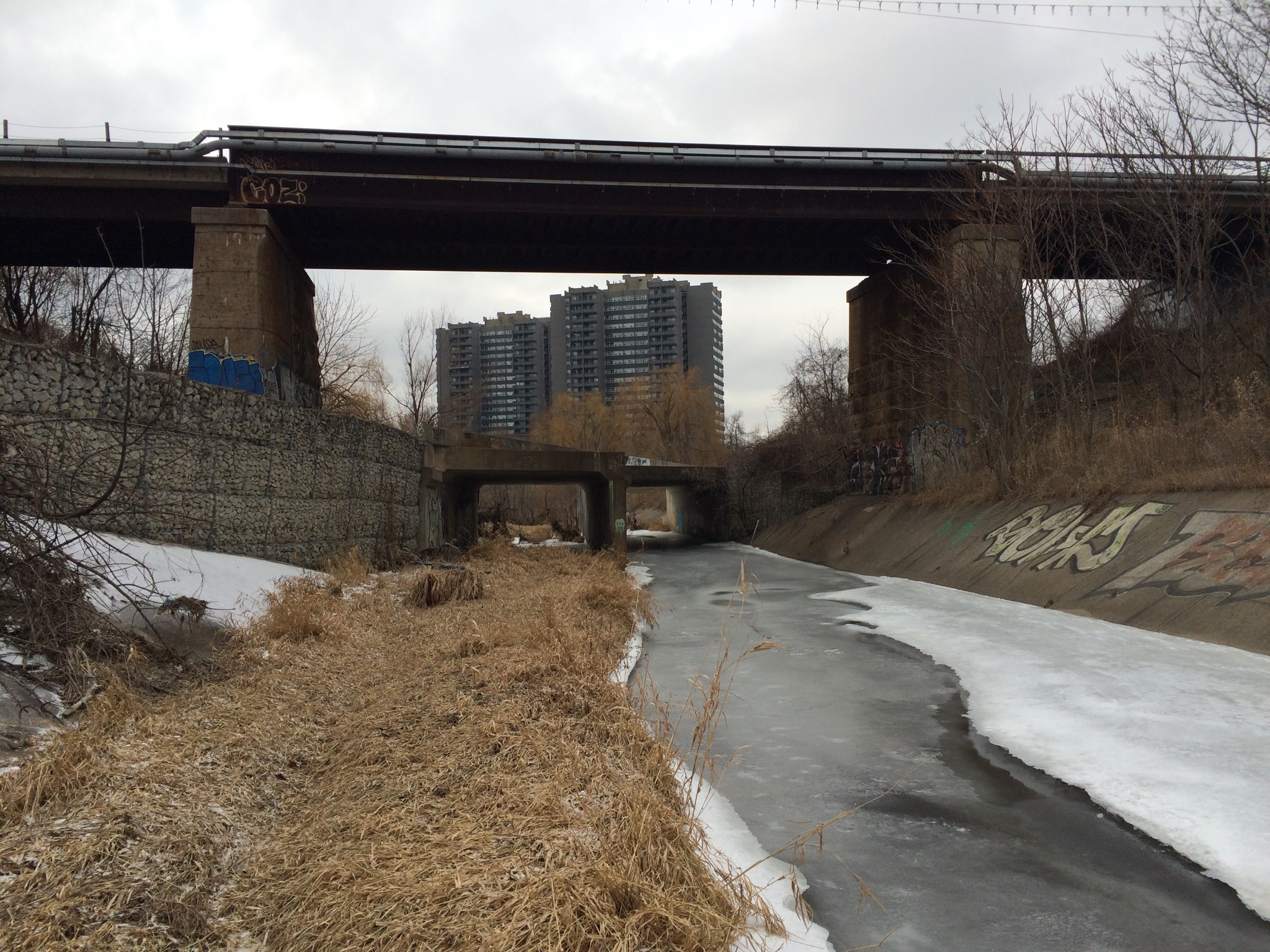 Accidental Parkland