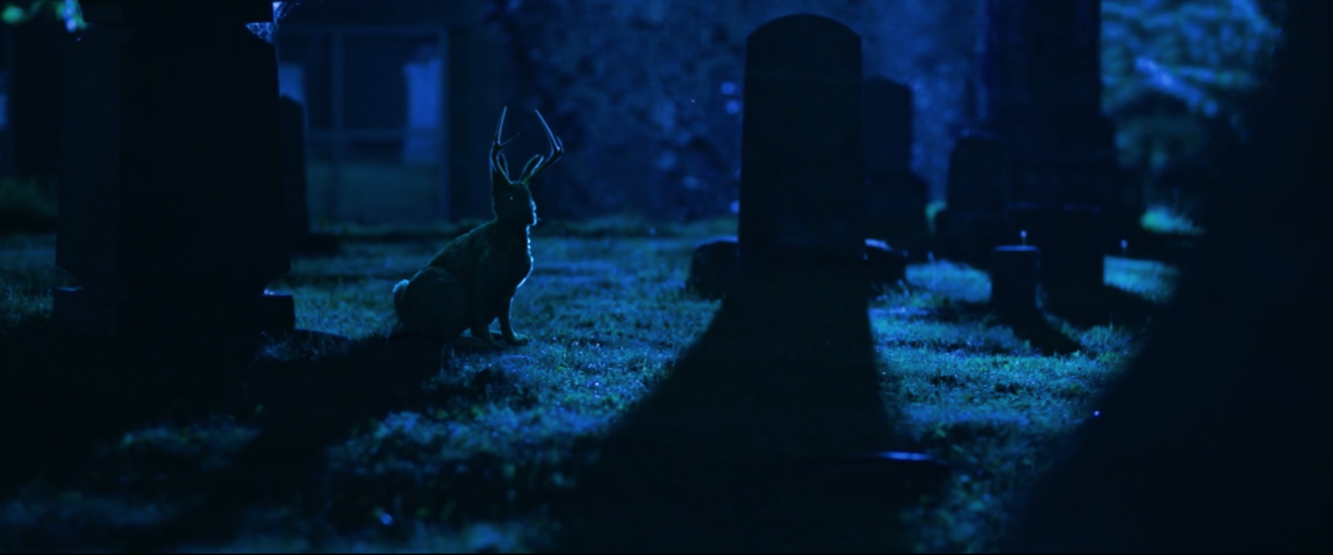 Looking for the Jackalope - "The Jackalope", featuring the voice of actor Stephen Root