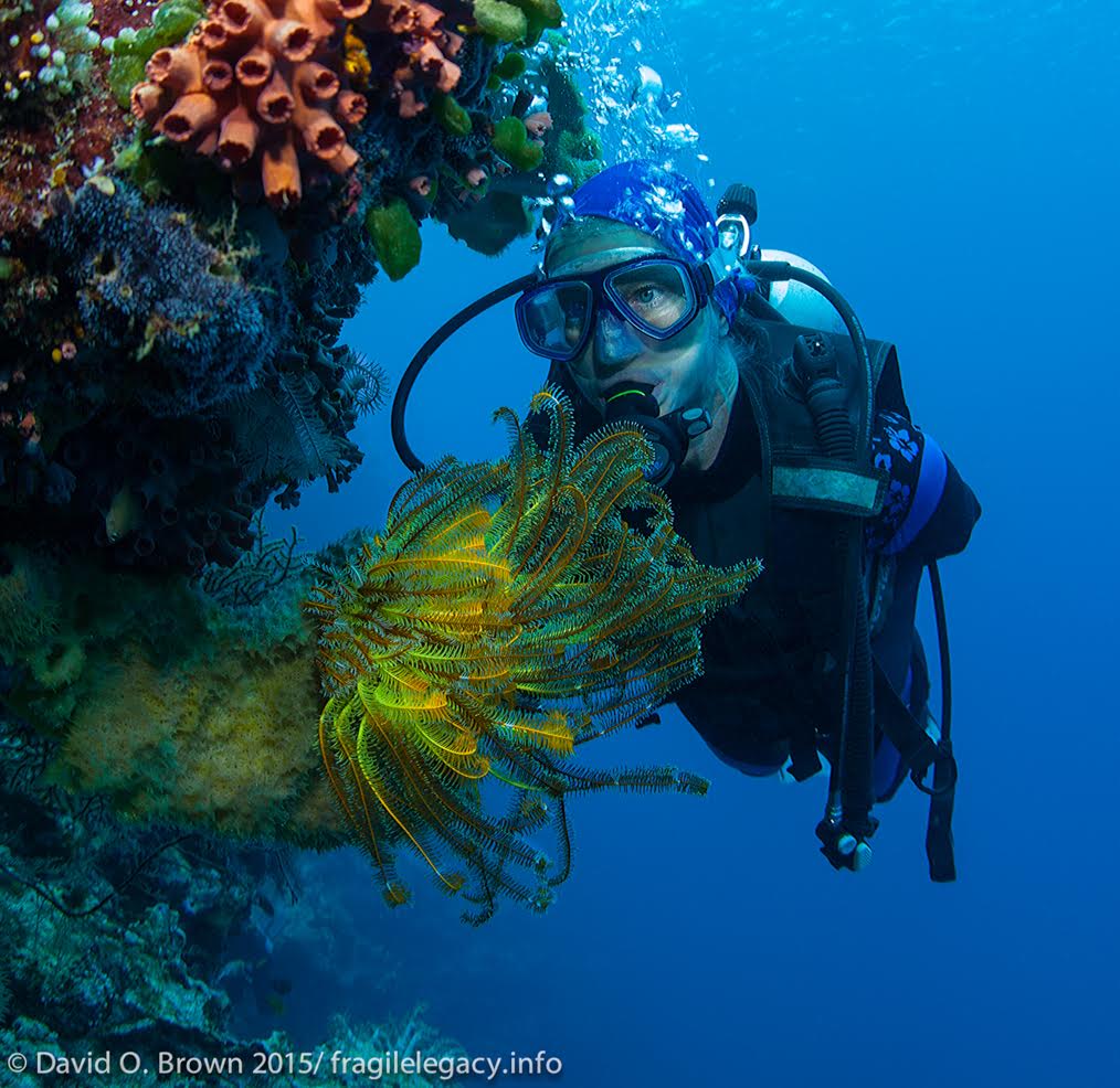 Fragile Legacy - Dr. Drew Harvell diving on an Indonesian reef.