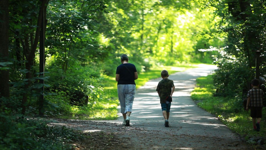 Another Way of Living: The Story of Reston, VA - Paths.
