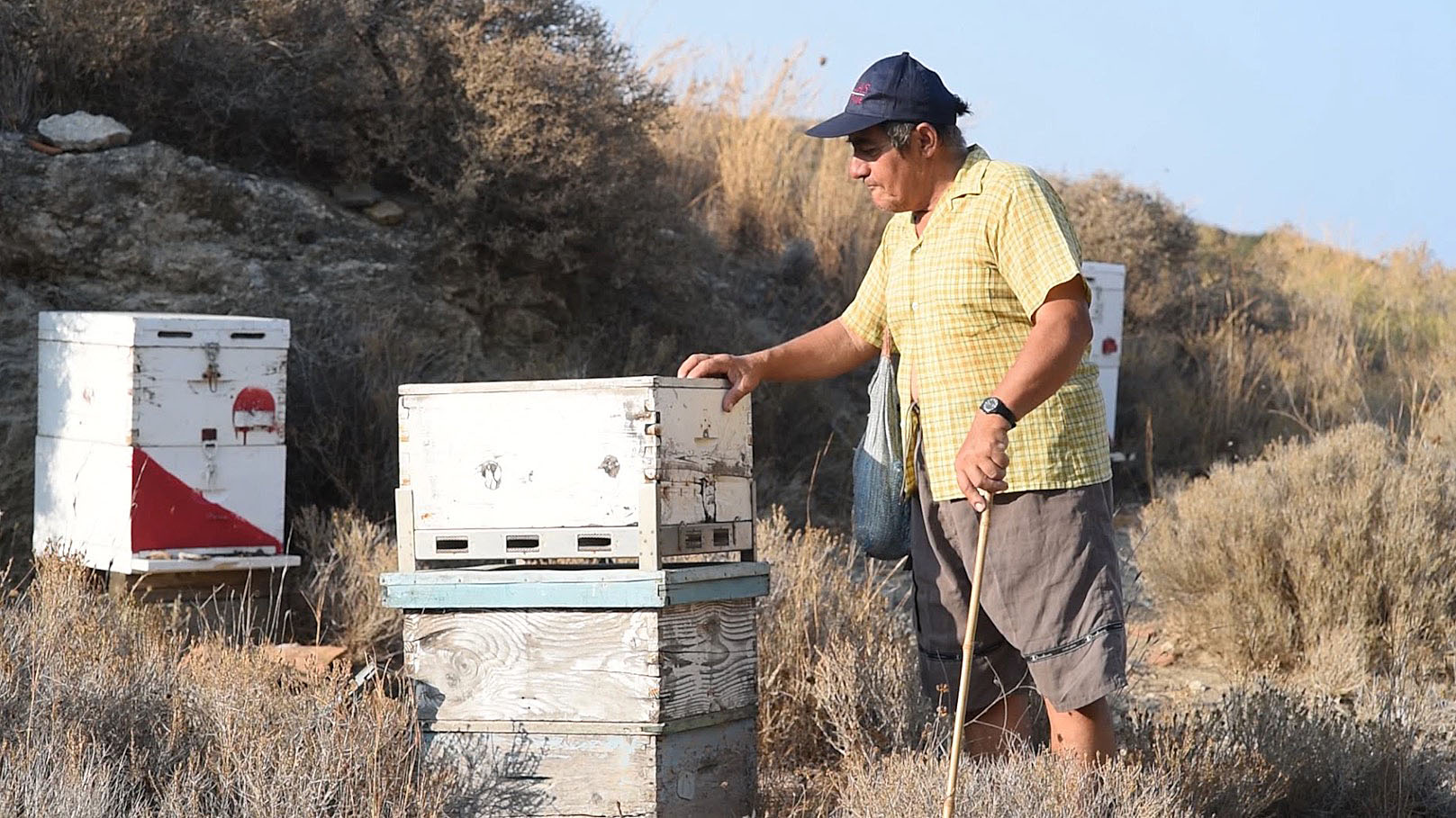 The Beekeepers - George with his beloved bees.