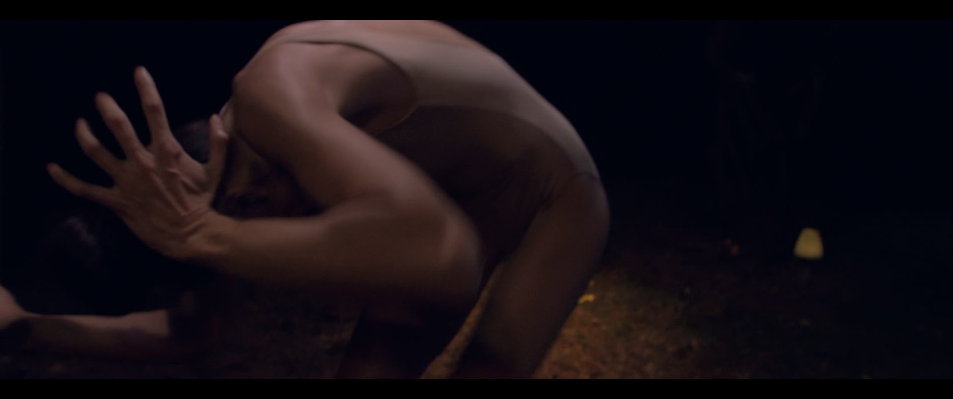 VAGALUME (Firefly)
