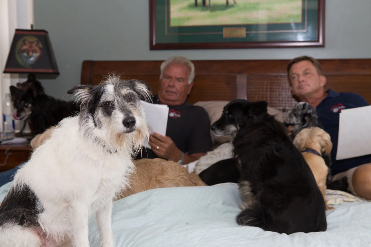 life in the doghouse documentary