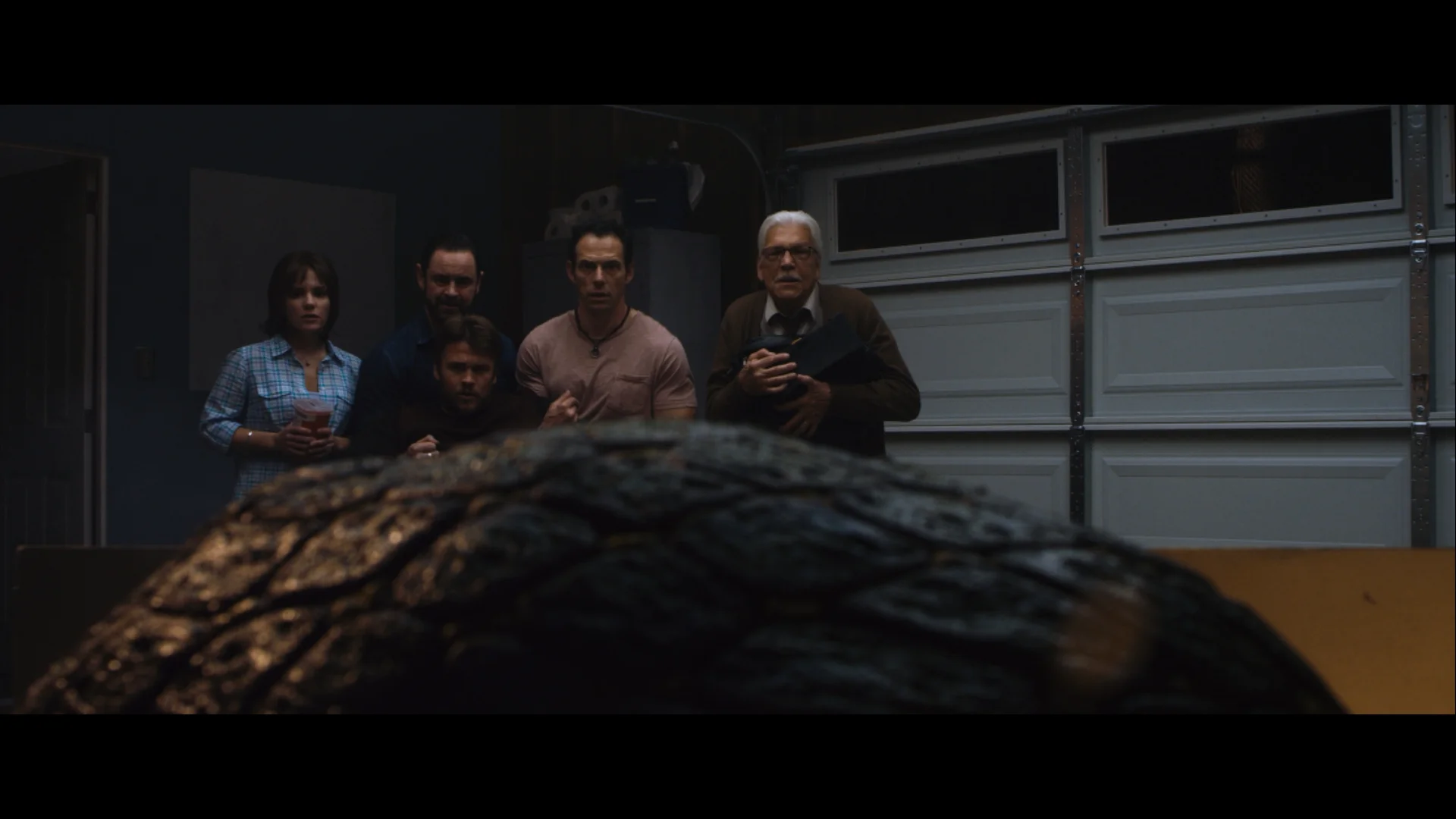 Cheryl Texiera ("Terri"), Glenn Keogh ("Brent"), Luke Hemsworth ("Will"), Christopher Showerman ("Jonathan") and Tom Atkins ("Prof. Westlake") watch as their otherworldly visitor grows in size.