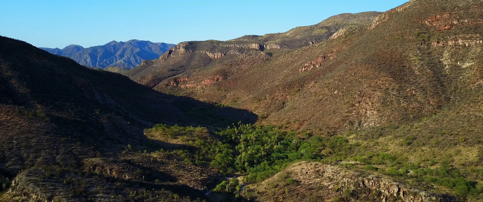 The Northern Jaguar Reserve is a 55,000 acre swath of rugged, remote land in the Sierra Madre mountains. With perennial streams and an incredible variety of habitat it's a true refuge for wildlife.