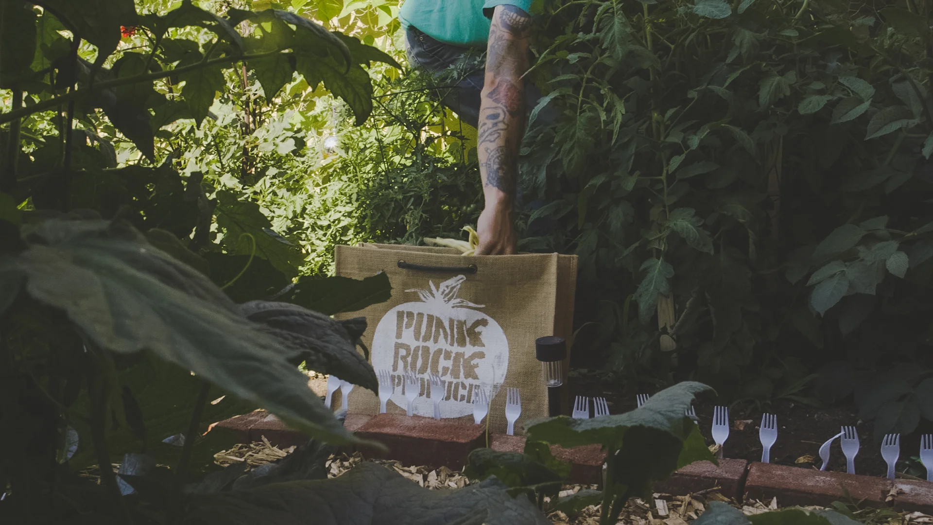 Craig of Punk Rock Produce harvests the latest crops of vegetables from his urban garden before bringing them to the local food bank.