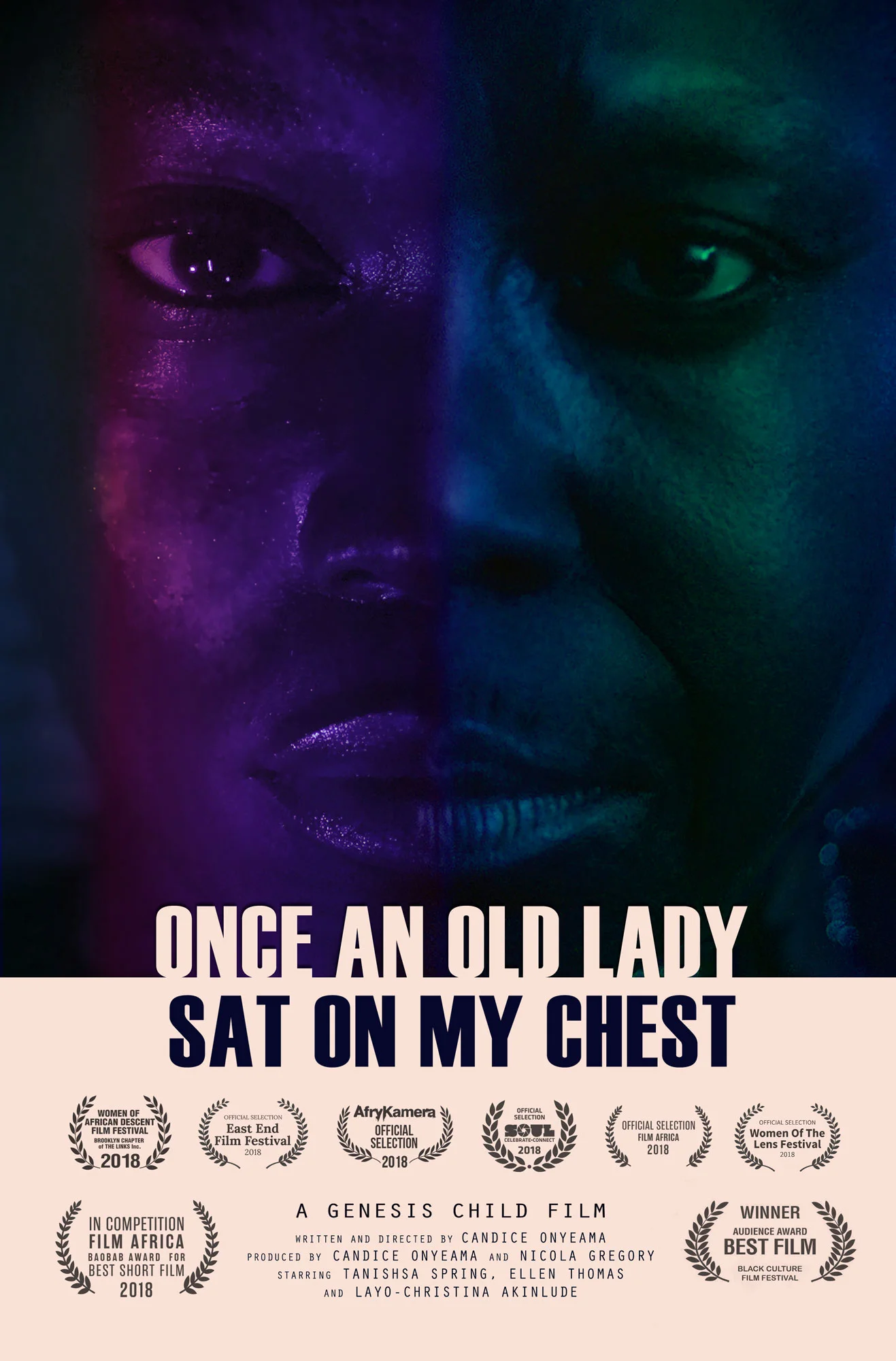Once An Old Lady Sat On My Chest poster