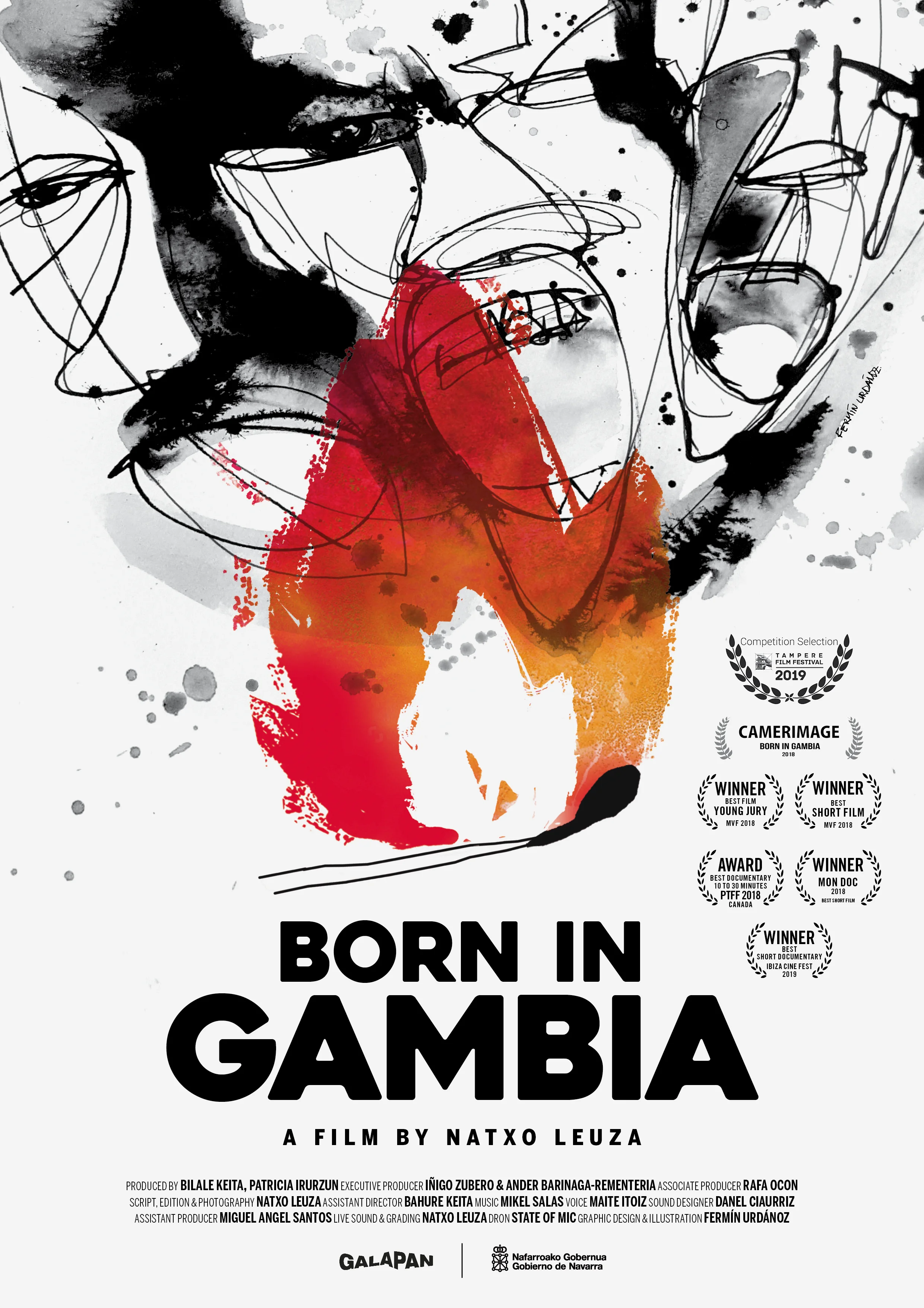 Born in Gambia poster