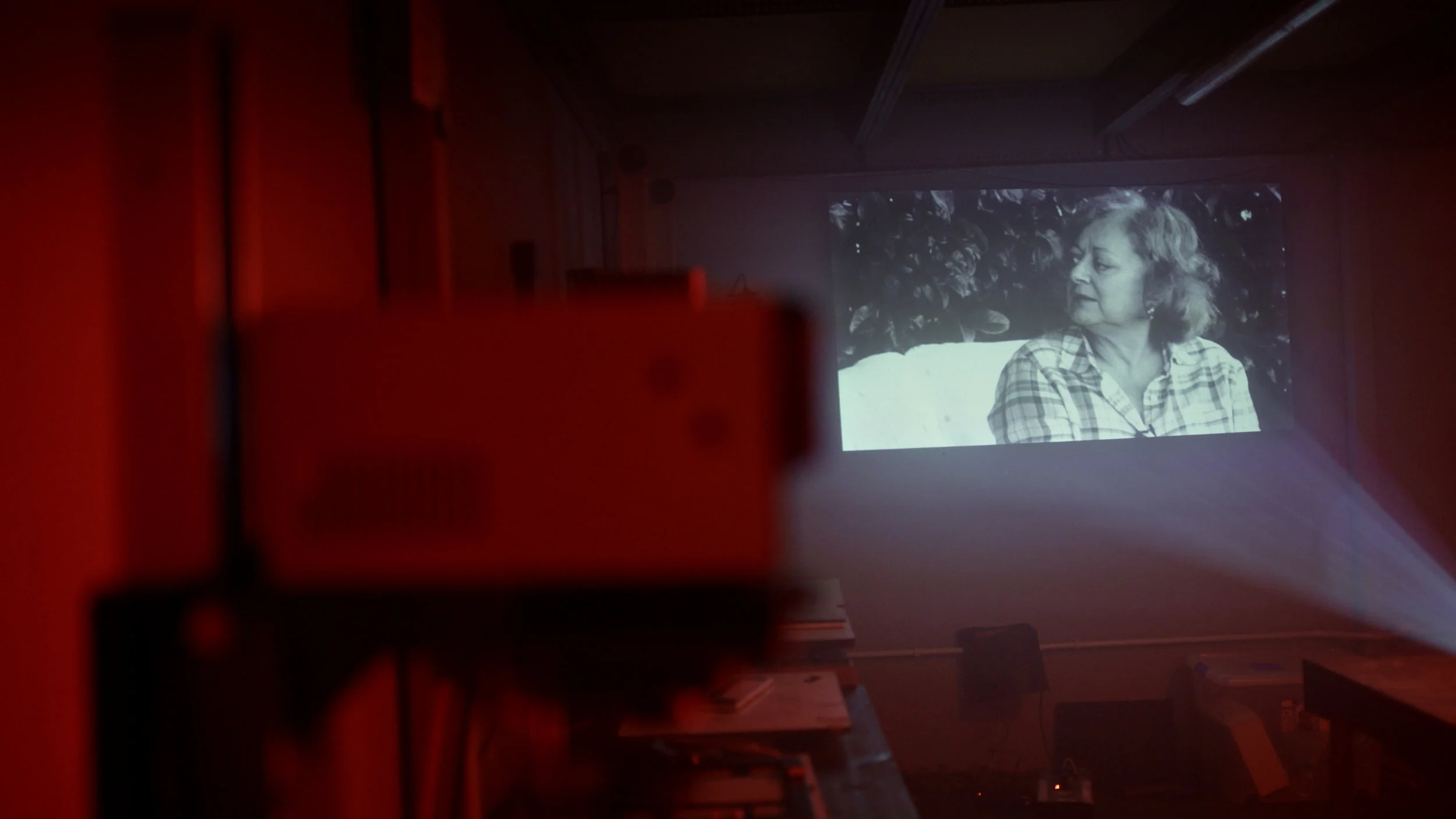 In the Dark Room