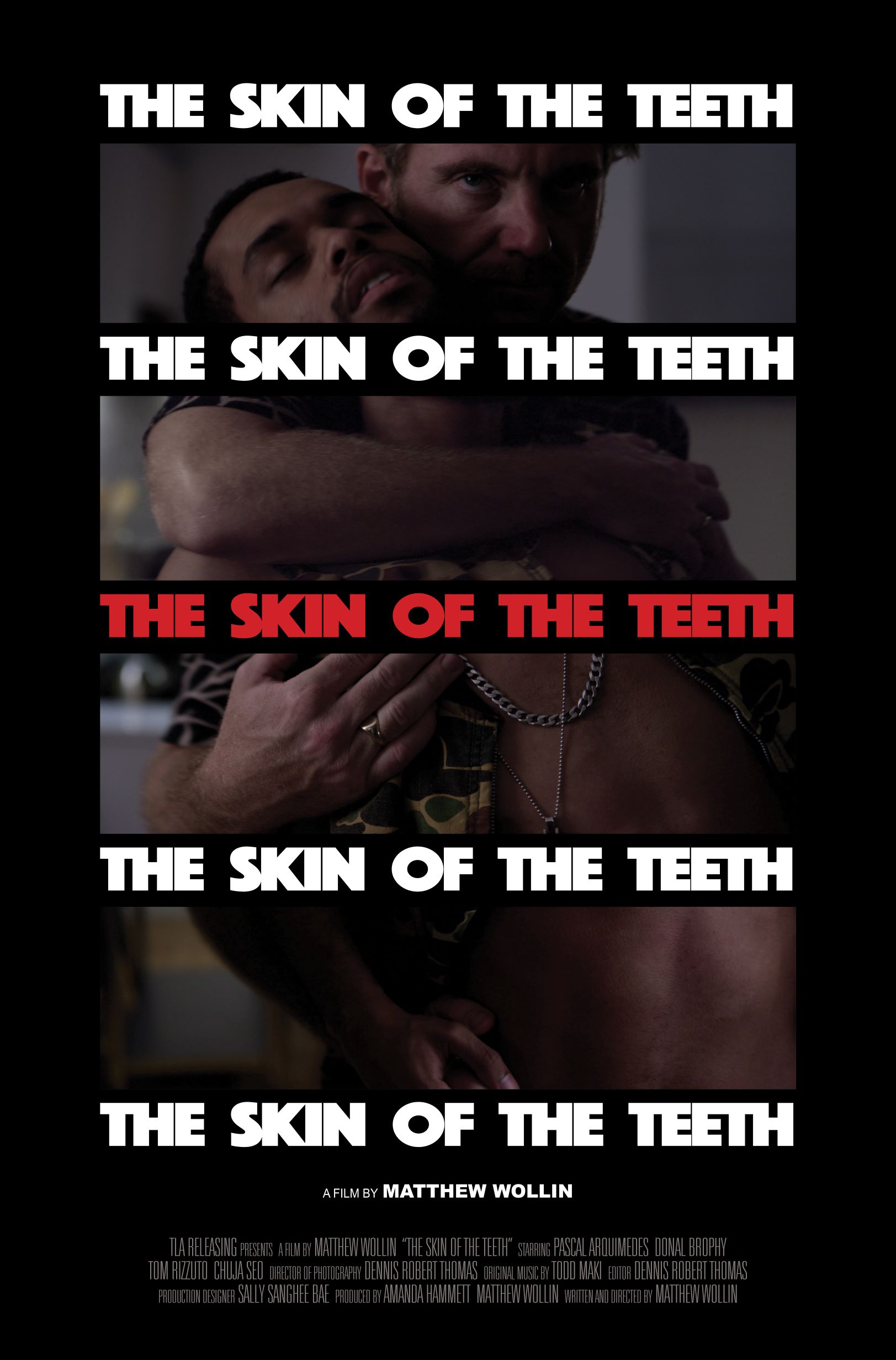 The Skin of the Teeth poster