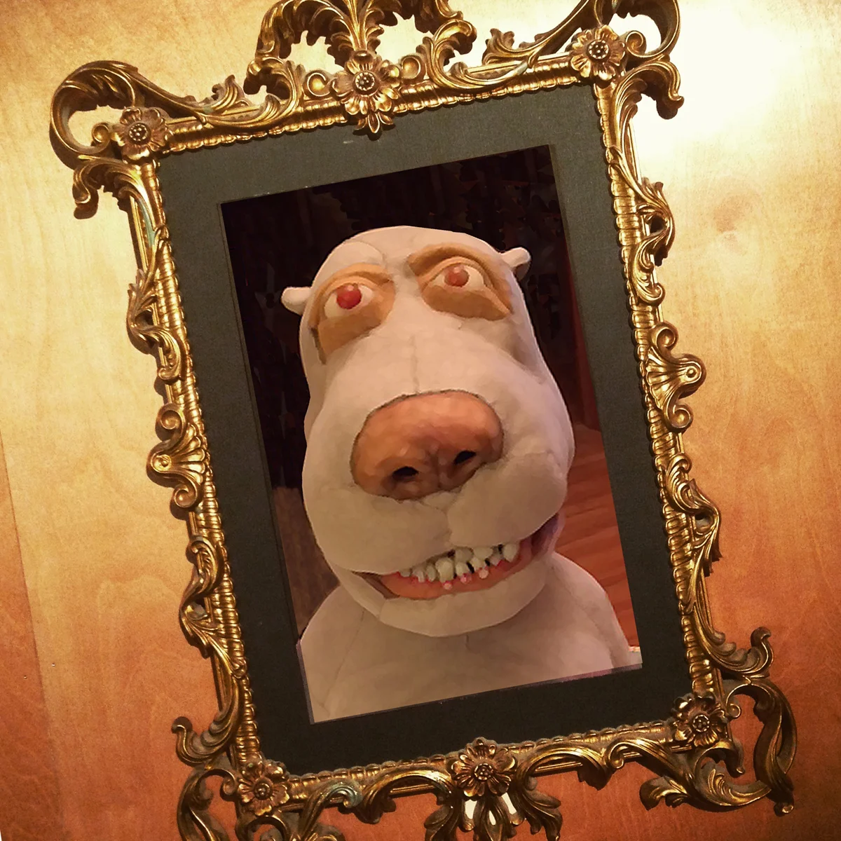 A Dog’s Story