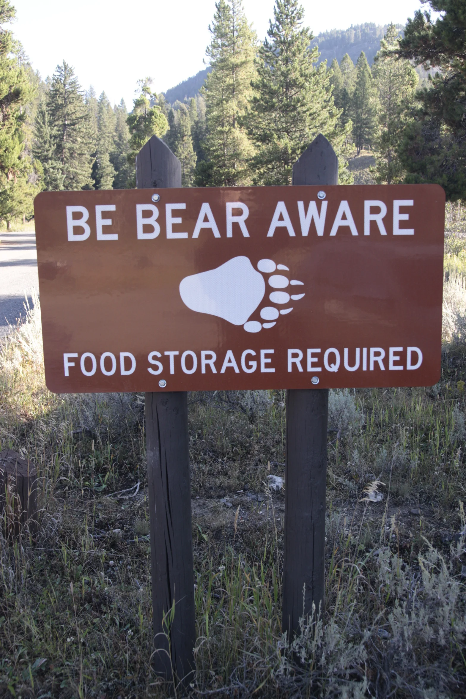 Be bear aware