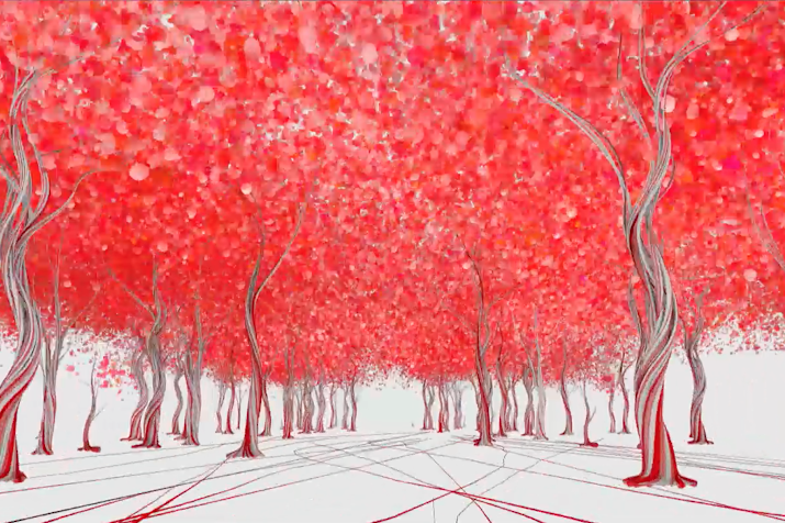 In an Empty Wood