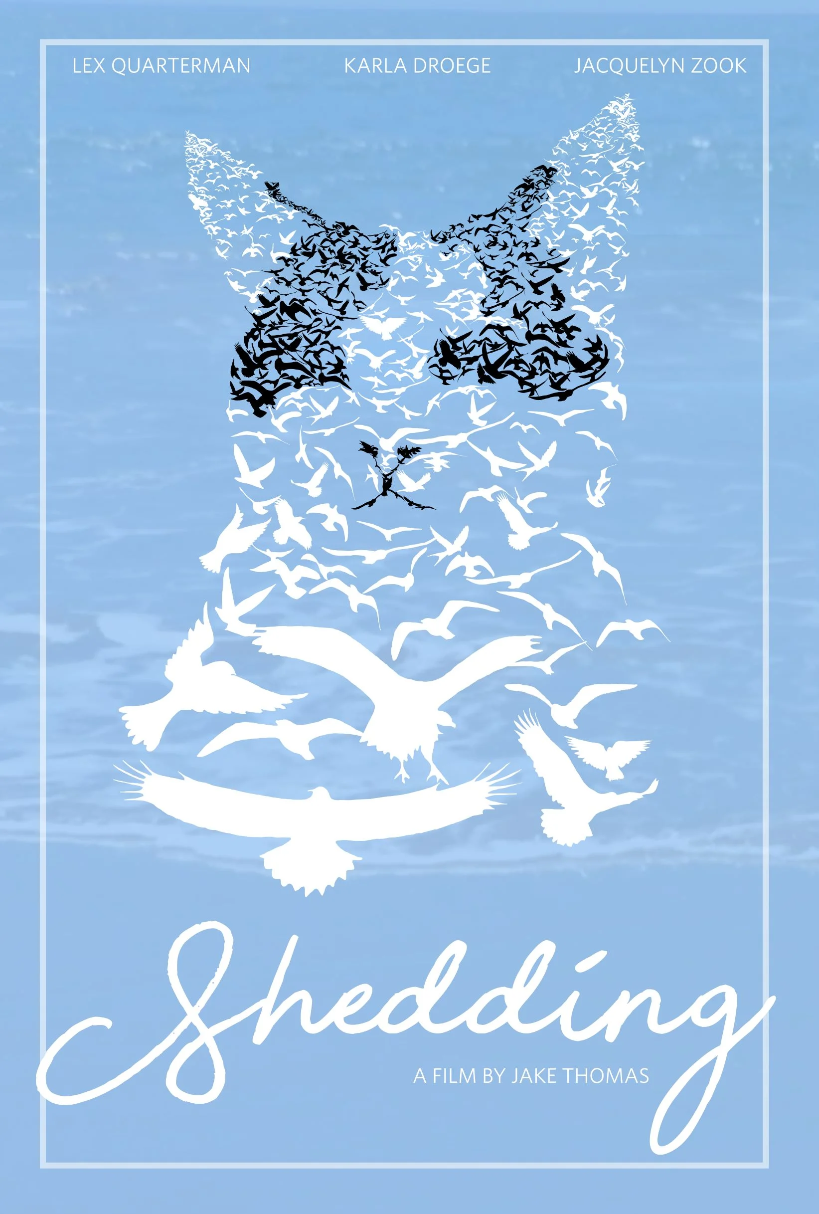 Shedding poster