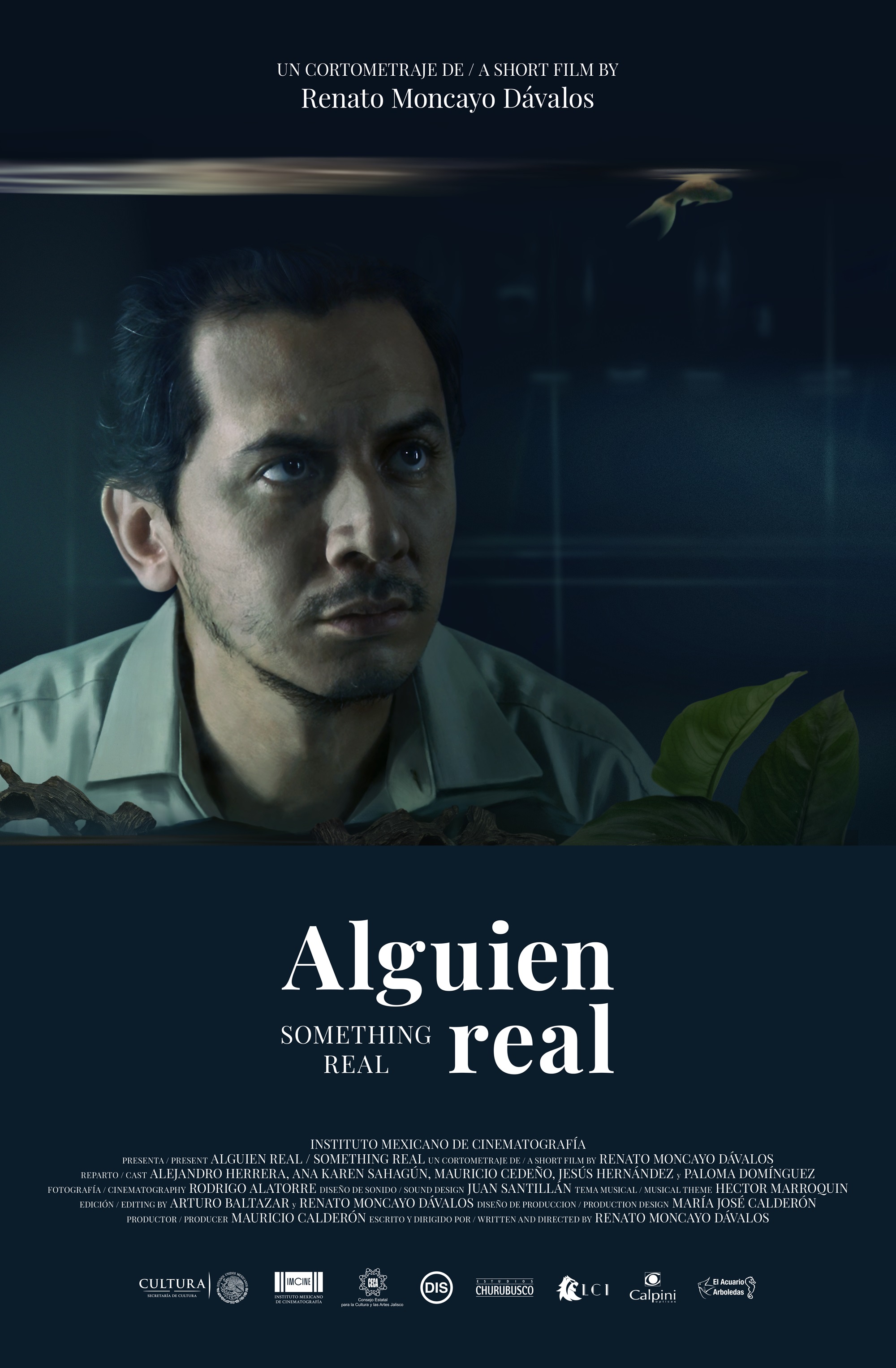 Something Real poster