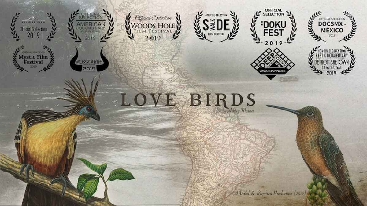 Love Birds poster