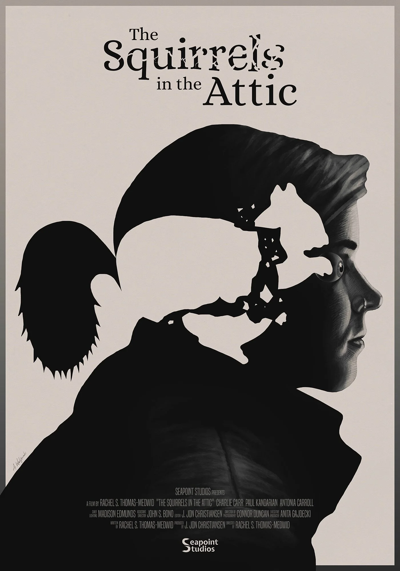 The Squirrels in the Attic poster