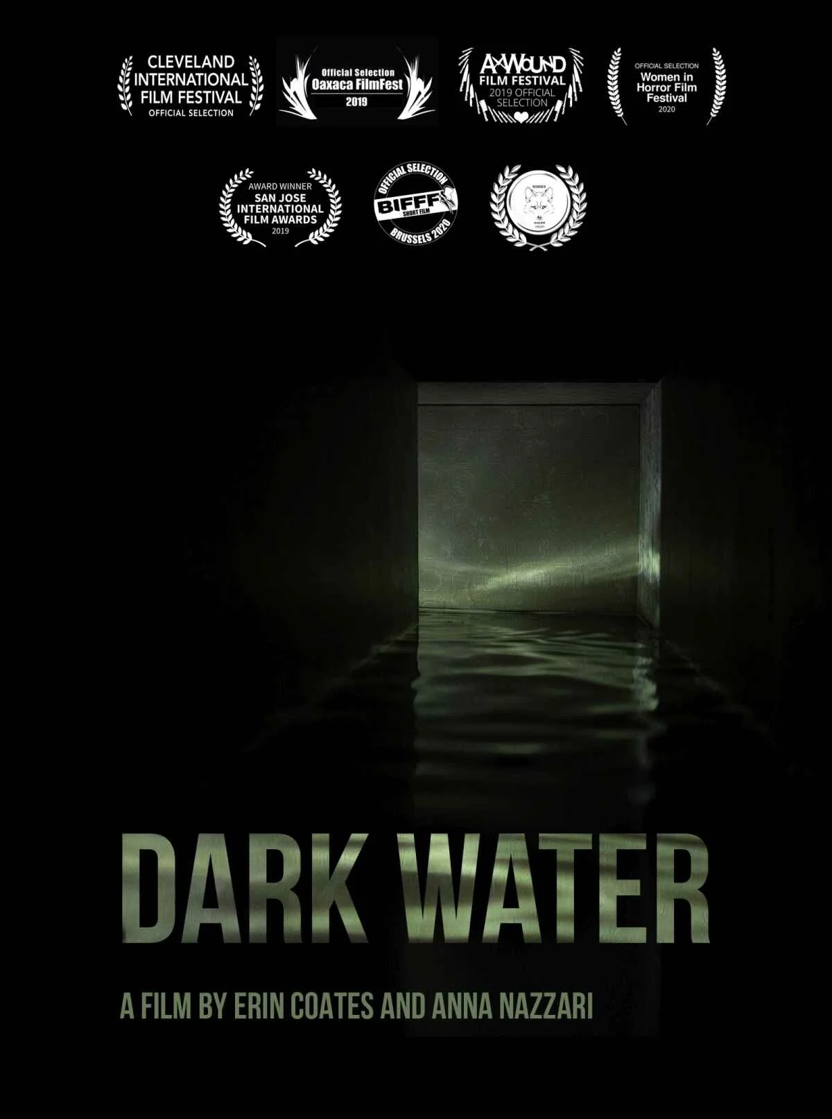 Dark Water poster