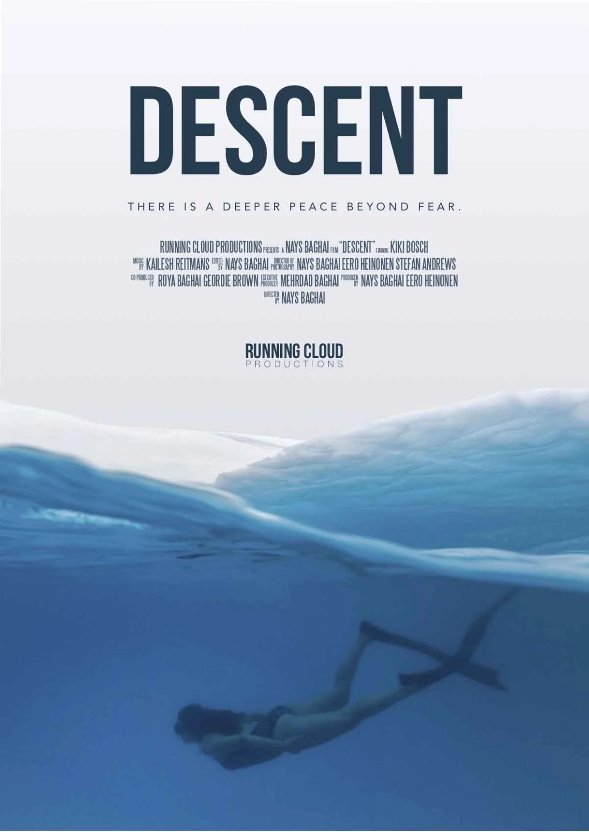 Descent poster