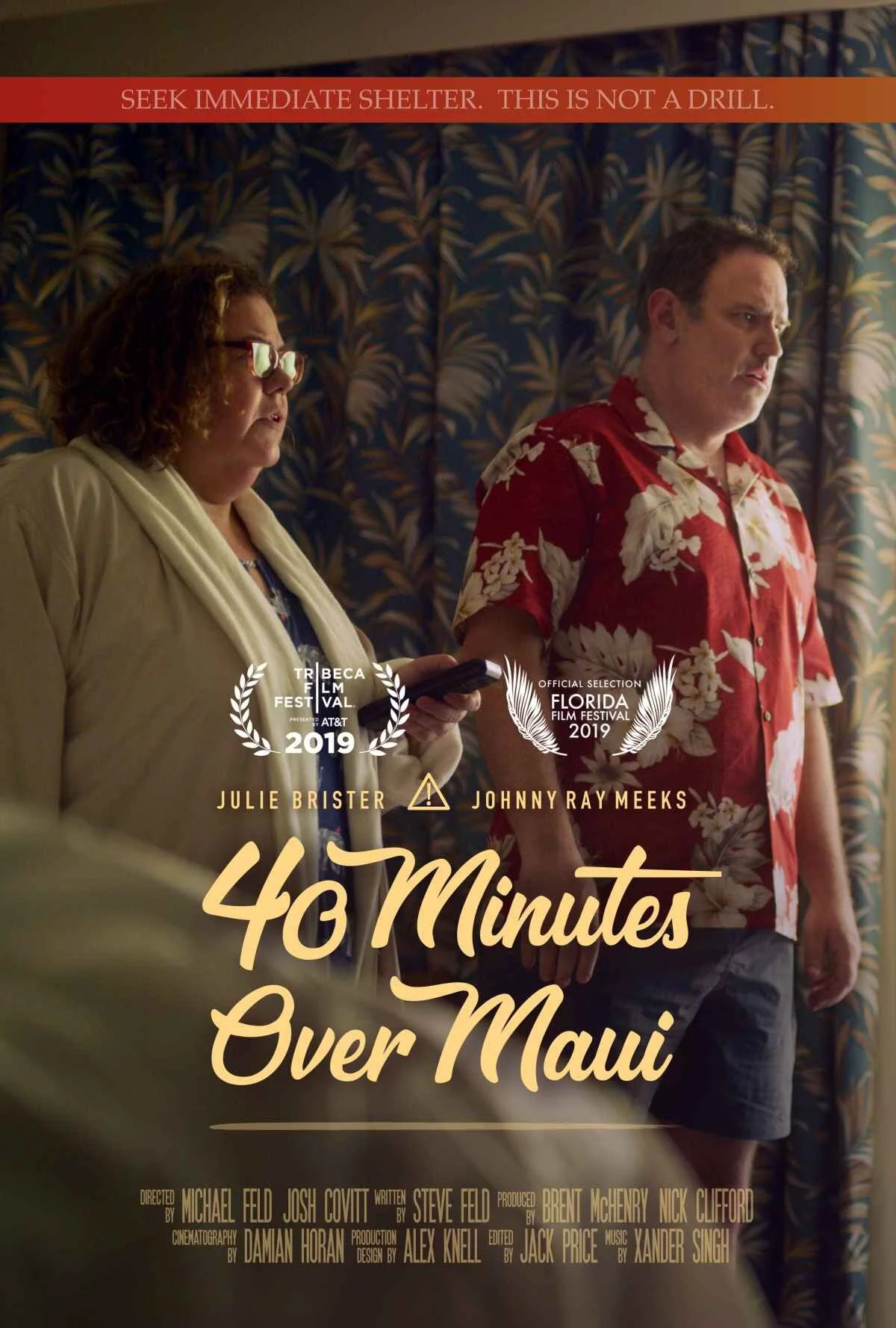 40 Minutes Over Maui poster